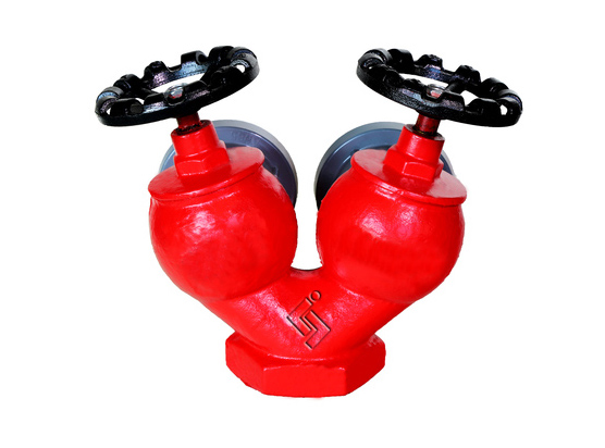 雙閥雙(shuāng)出口室内消(xiao)火栓